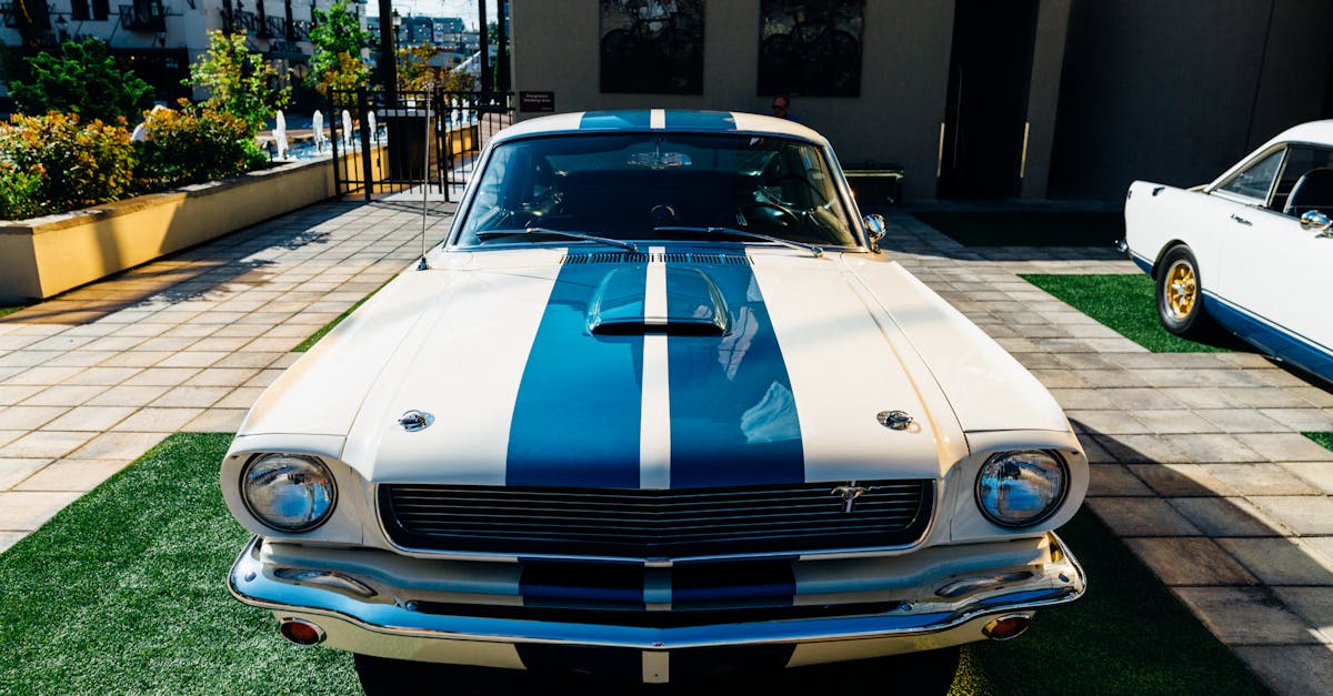 explore the history, features, and performance of the iconic ford mustang, from its debut in 1964 to the latest models.