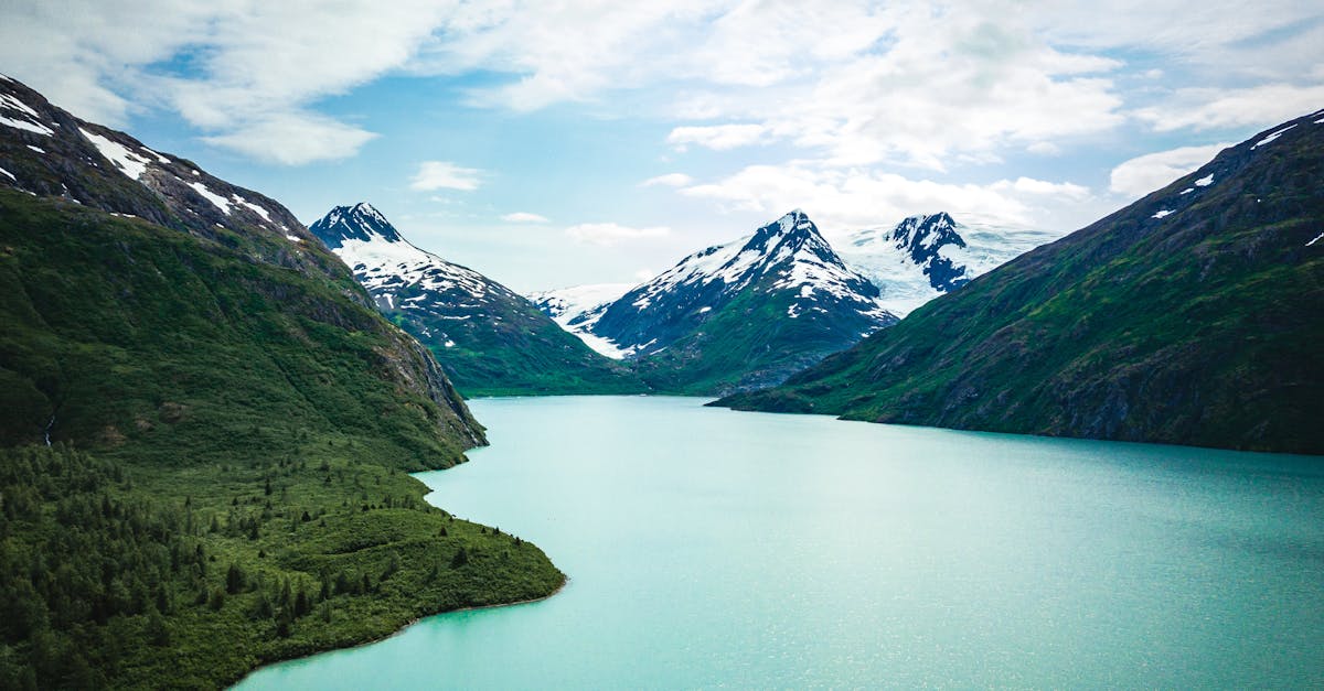 discover the raw beauty of alaska with its stunning landscapes, majestic wildlife, and unique culture. plan your journey to the last frontier and experience the raw essence of nature.